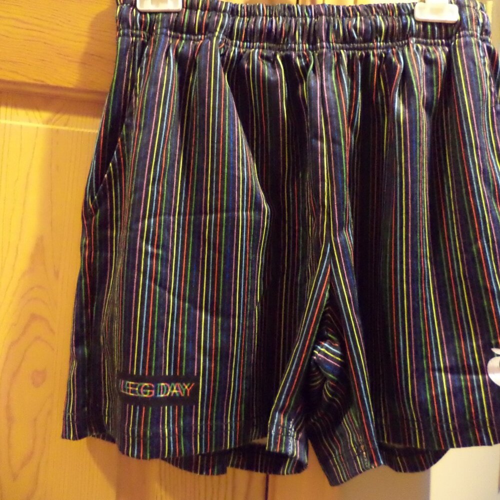 Men's FLEXLIVING Basic Mesh Shorts - LEG DAY - Black + Colorful Stripes Size: XL